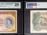 Trois types de monnaies différents sont exposés dans une vitrine
