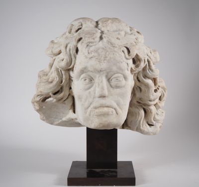 une image représentant une sculpture de tête de femme aux cheveux bouclés