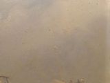 a picture of a painting of a boat in the water