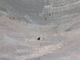 a black bug that is sitting in the middle of the snow