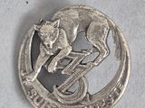 une image représentant une pièce d'argent sur laquelle figure un chien