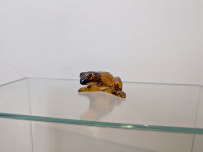 figurine de tortue posée sur une étagère en verre dans une pièce blanche