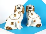 deux chiens blancs et marron assis sur une surface bleue