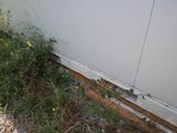 a picture of a corner of a building with a plant growing out of it