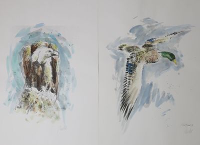 deux oiseaux qui volent ensemble dans le ciel