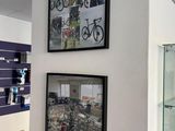 two framed pictures on the wall of a bike shop