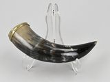 a horn shaped object on a clear stand on a white surface