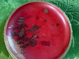 a picture of a red button with a dragon on it