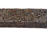 a brick with holes in it on a white background
