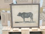 a picture of a cow standing on a pallet in front of boxes
