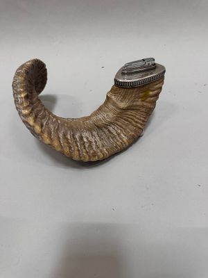 a horn shaped object with a watch on top of it