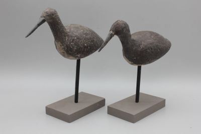 deux oiseaux qui se tiennent l'un à côté de l'autre