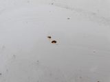 a close up of a dirty plate with some food on it