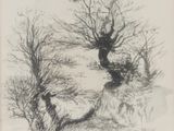 an image of a black and white drawing of a tree in a field