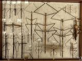 many different types of insects displayed in a wooden frame