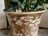 a potted plant that is sitting on a table