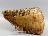 an image of a piece of wood with a large piece of wood sticking out of it ' s side