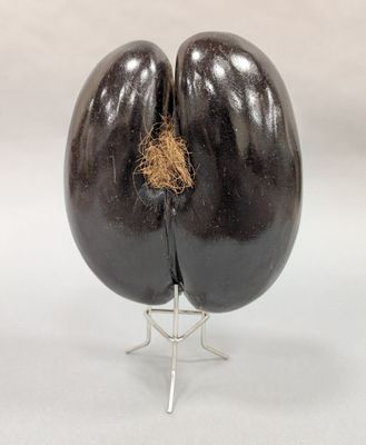 une aubergine posée sur un support, d'où dépasse un brin de foin