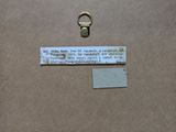 a piece of paper with a tag attached to it