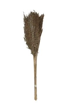 de l'herbe séchée fixée à un bâton, sur fond blanc