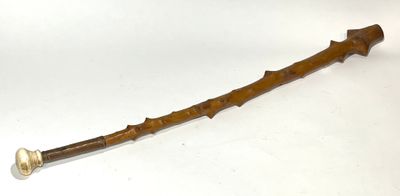 Canne de marche "casse-tête" en bois noueux, pommeau en corn…