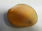 an image of a piece of yellow rock on a white surface