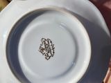 a person holding a white plate with a brown design on it