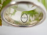 a close up of a silver ring with a plant in it