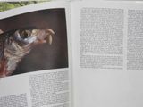 an open book with a picture of a fish on it