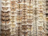 a close up of a piece of art with a lot of bugs on it