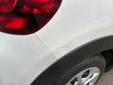 a cat that is sitting on the back of a car