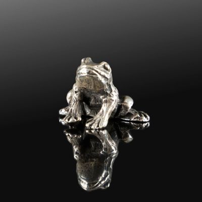 a silver frog sitting on top of a rock on a black surface