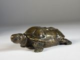 figurine en bronze représentant une tortue sur un fond blanc