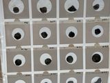 a person holding a box with a lot of holes in it