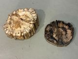 two mushrooms that are sitting on a table