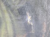 a painting of a bird that is sitting in the water