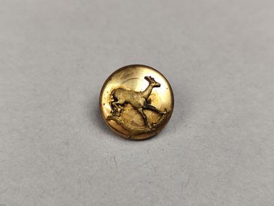 a close up of a gold button with a deer on it