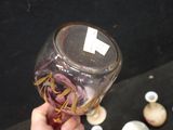 a person holding a wine glass with a flower inside of it