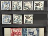 a picture of a collection of stamps on display