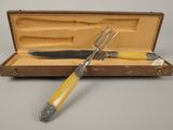 a knife and a fork in a case on a table