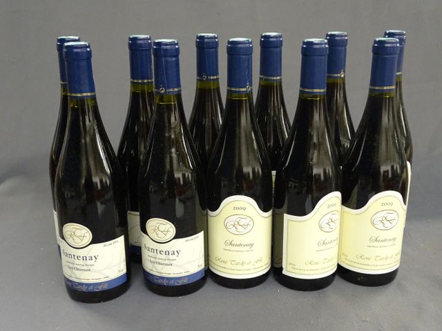 SANTENAY, René TARDY et FILS, 6 bouteilles de 2009 et 5 bouteille...