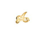 a close up of a gold ring on a white background