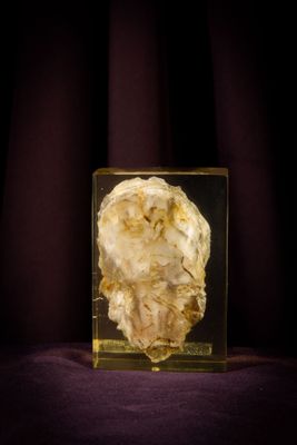 a close up of a rock in a glass block on a purple cloth