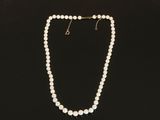 a white pearl necklace with a gold clasp on a black background