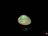 an oplite in the dark with a black background