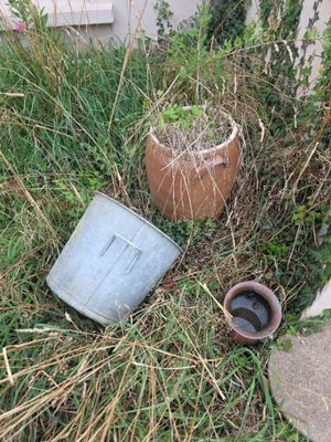 un seau et une casserole posés dans l'herbe, près d'un trottoir