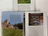 three books on a shelf with a picture of a castle in the background