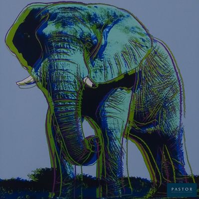 une photo d'un éléphant debout dans l'herbe