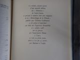 Photo 10/12 du lot