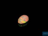 an oplite in the dark with a black background